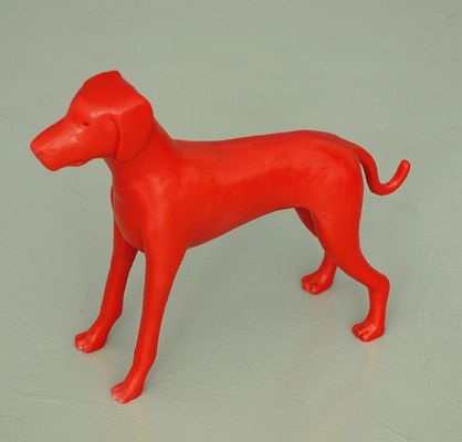 Rode Hond van Allart